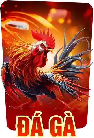 đá gà uu88