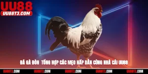 đá gà đòn uu88